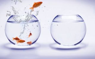 Почему же продажи не поднимаются?