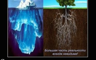 Видео урок 5 из 5 – Жесткая картина мира, не оставляющая сил и места для действий.