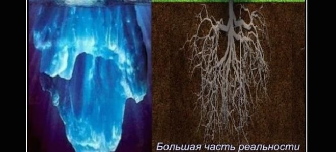 Видео урок 5 из 5 – Жесткая картина мира, не оставляющая сил и места для действий.